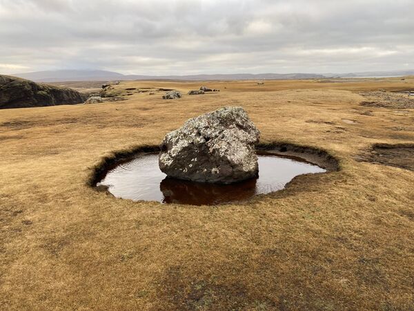 Eshaness - stone