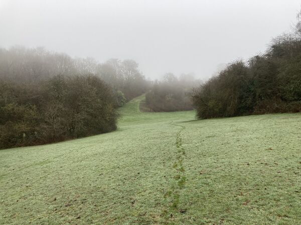 Footsteps in the dew