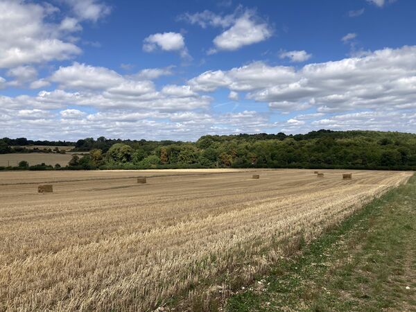 Hay bales near Shire Lane - 2