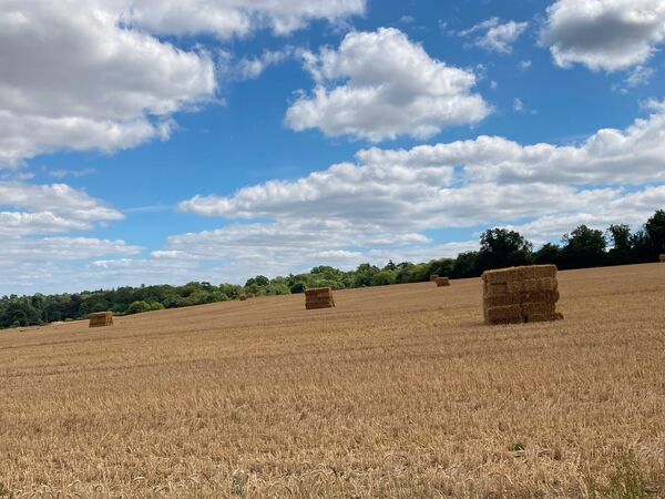 Hay bales near Shire Lane - 3