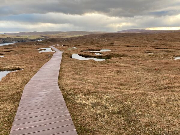 Hermaness - boardwalk across the moors