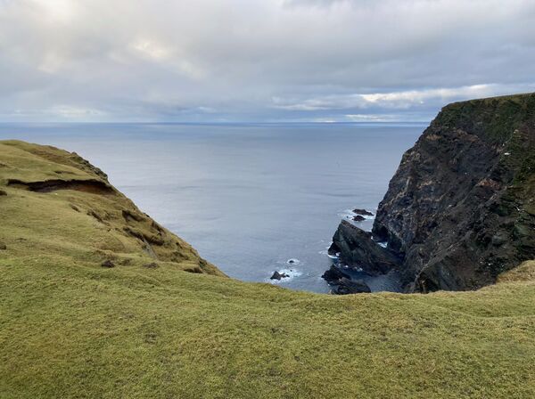 Hermaness - Saito cliffs