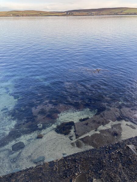Sea near the lodberries in Lerwick