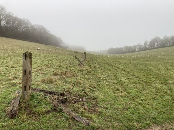 My favourite field, with fence post