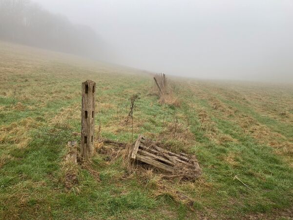 A field on the north downs