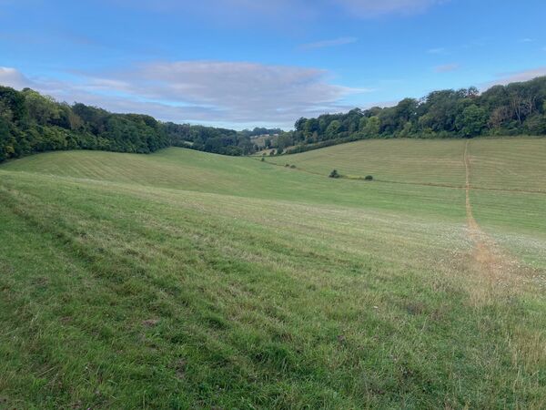 A field on the north downs