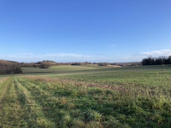 A view of Shire Lane
