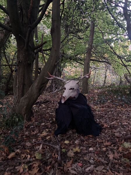 Boy kneeling in a halloween costume with deer's head and antlers